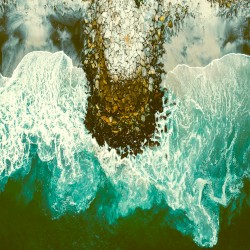 Earth Tones II