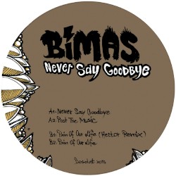 Never Say Goodbye