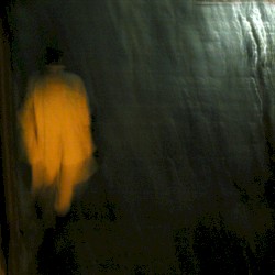 Fear and the Lizard People of Pretoria