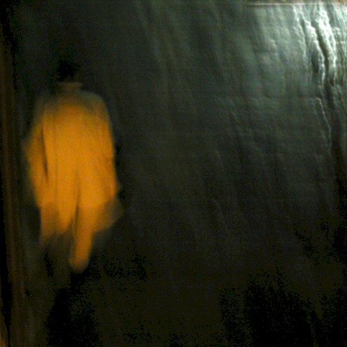 Fear and the Lizard People of Pretoria