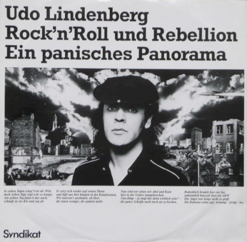 Rock'n'Roll und Rebellion - Ein panisches Panorama