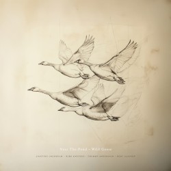 Near The Pond - Wild Geese