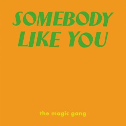 Somebody Like You