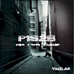 P1S2B