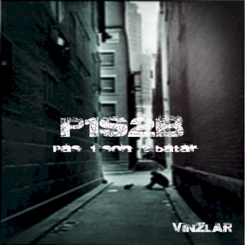 P1S2B