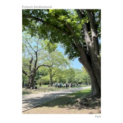 Park