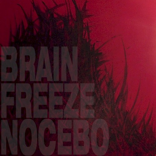 Nocebo