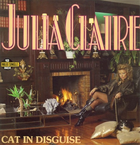 Cat in disguise