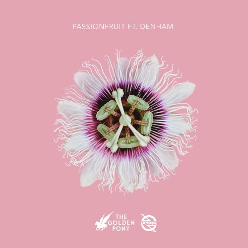 Passionfruit
