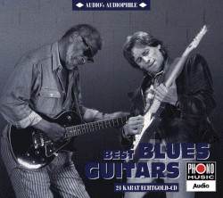 Audio’s Audiophile, Volume 6: Best Blues Guitars