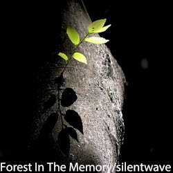 Forest in the memory