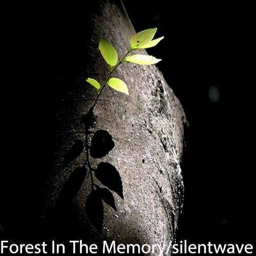 Forest in the memory