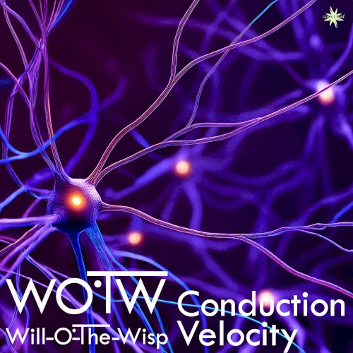 Conduction Velocity