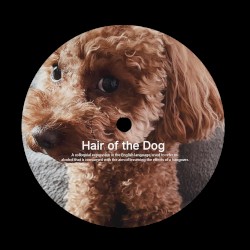 Hair of the Dog