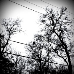 Furthermore (2013-2014 Outtakes, Demos, and B-Sides)