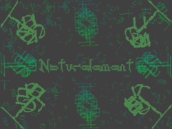 TerraRum