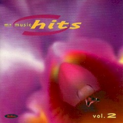 Mr Music Hits 2. 1999