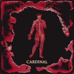 Cardinal