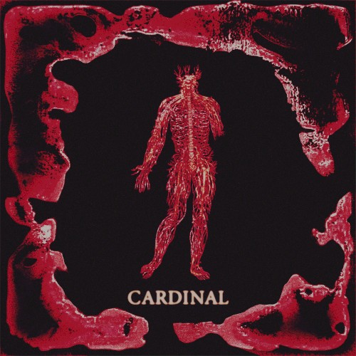Cardinal