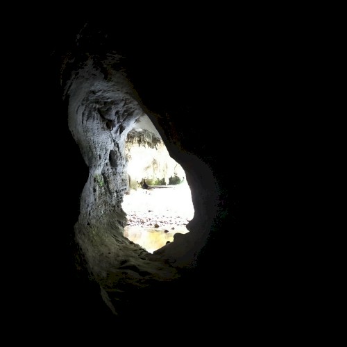Inside the Castle