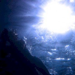 Reflections