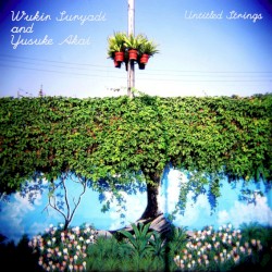 Untitled Strings