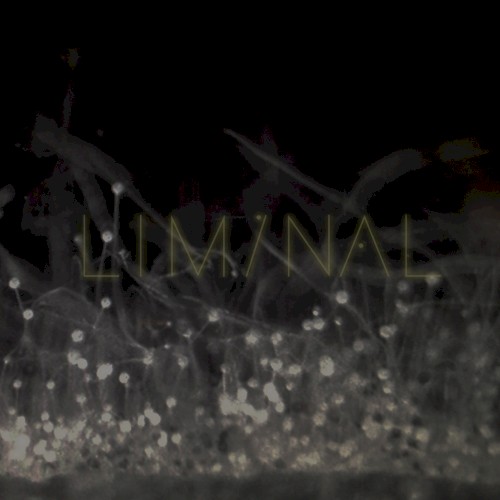 Liminal 2