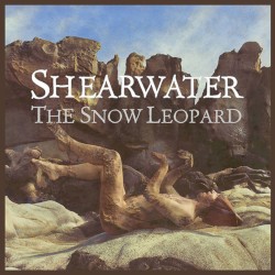 The Snow Leopard