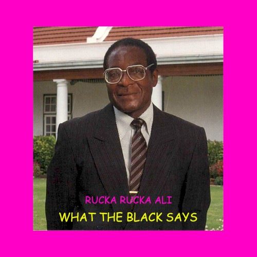 What the Black Says