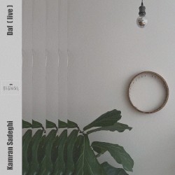 Daf ( live )