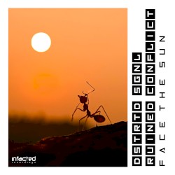 Face the Sun