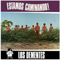Estamos caminando