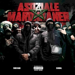 ASOZIALE MAROKKANER