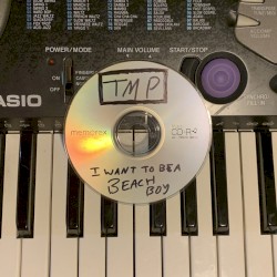 I Want To Be a Beach Boy (Low Fidelity Mix)