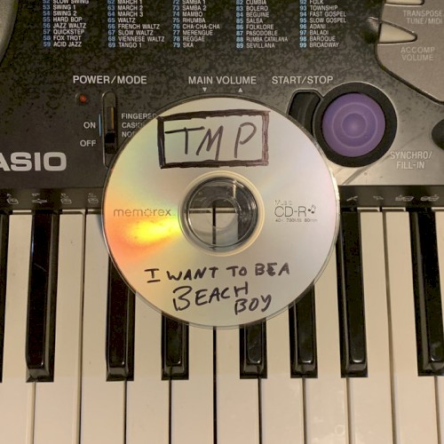 I Want To Be a Beach Boy (Low Fidelity Mix)