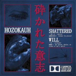 Shattered Will