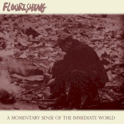 A Momentary Sense of the Immediate World