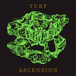 Turf Ascension