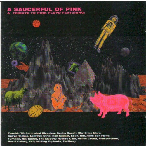A Saucerful of Pink: A Tribute to Pink Floyd