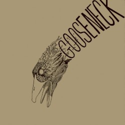 Goose Neck
