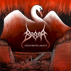 Live at Brutal Assault