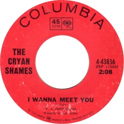 I Wanna Meet You