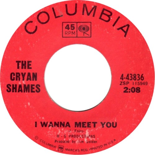 I Wanna Meet You