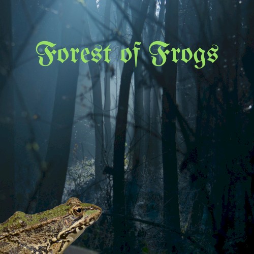 Dark Forest