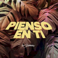 Pienso en Ti