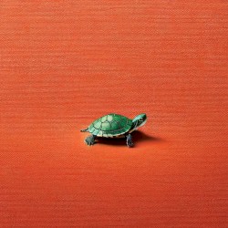 Belong