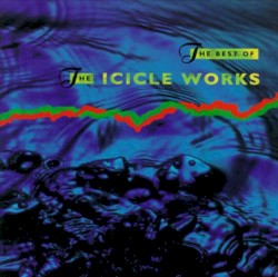 The Best of The Icicle Works