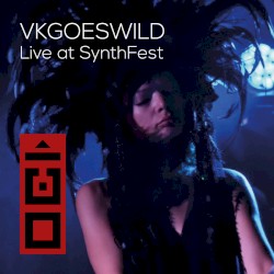 Live at SynthFest