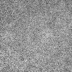 Entropy