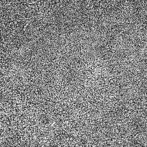 Entropy